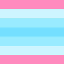 transmasc flag